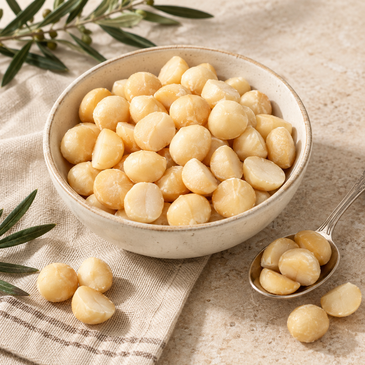 AI-generated ingredient illustration for Natural Zing Macadamia Nuts (Madagascar) · 8 oz. Not a photograph of the supplied branded product or packaging.